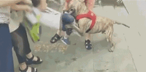 3.gif