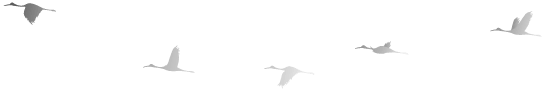 6f6c963f5894668d1b7e0e681e85ddcd.png