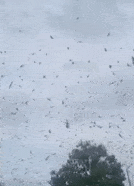 580e453c261f1bae7d3df984fc159950.gif