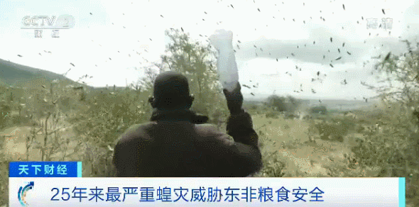 e9d214cf46419134274a32c823437167.gif