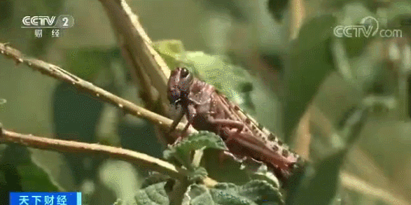 83c7c77a457513994707d2f50dc2fa31.gif