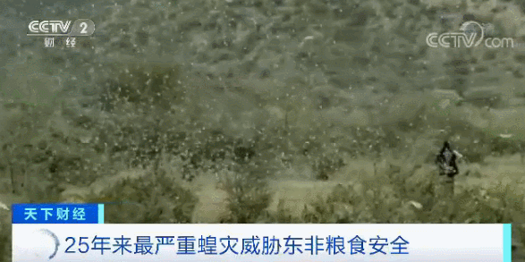 382a96613b0059ae11944a802e668660.gif