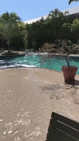 e7a5d71113f8cbb75ba7b7c75780f337.gif
