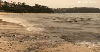 487e414ab348af5e585be5cf29931196.gif