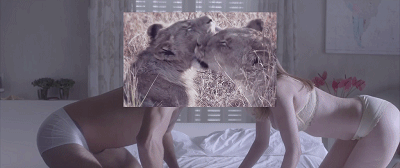 3628fbfea429378bfef83153e0c58b9e.gif