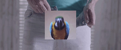 d71b42c975c24be93a07e6fbd4c1926a.gif
