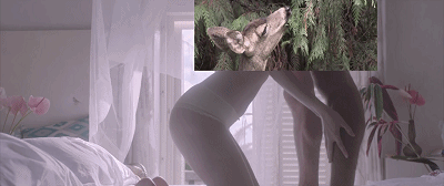 b0013e7a36b64e73df4addaa9197a653.gif