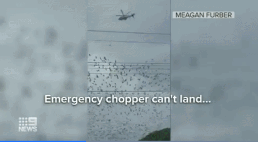 d5d3e85842f8c0bb10c543a50818107a.gif