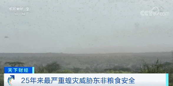 eef6f011f0520704f34831b2a2406d0d.gif