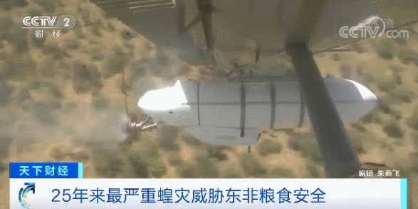 ec1fe9082855e5b46b825cf95dc214ff.gif