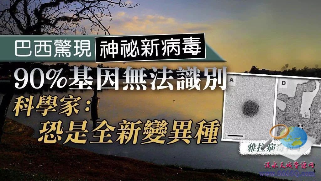 c859db91668db8675337797c2df6d4c7.jpg
