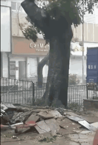 e8e3ee299cfa07e90620be7fa60f5057.gif