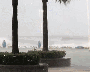 3dd165cdd36ca3b5c3c91ea9dd0d8909.gif