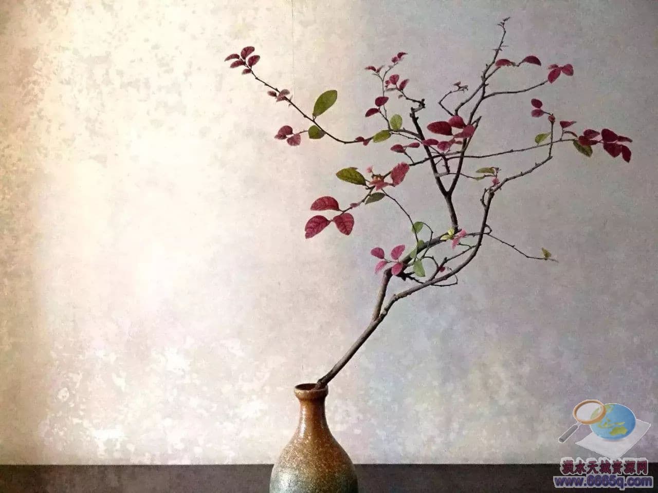 8f10acb5a9781df19c88ec0e0788be7d.jpg