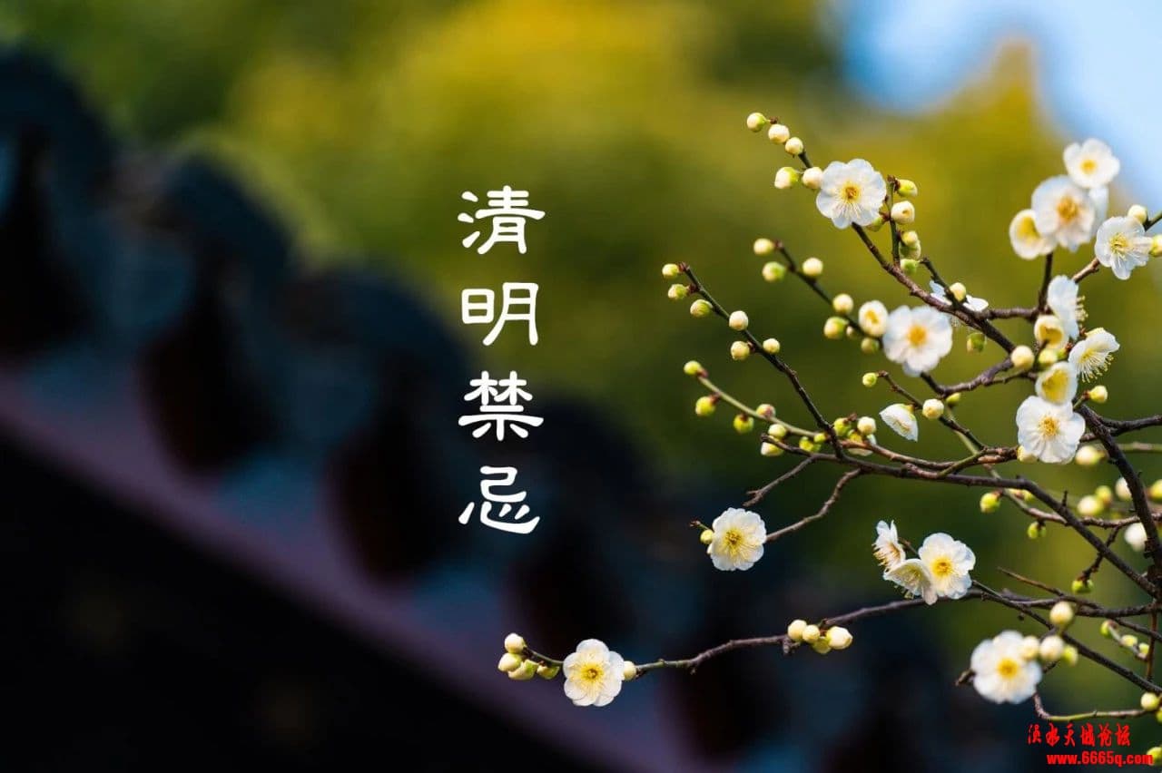 4af3ef55395bc885ac0d54124678df6a.jpg