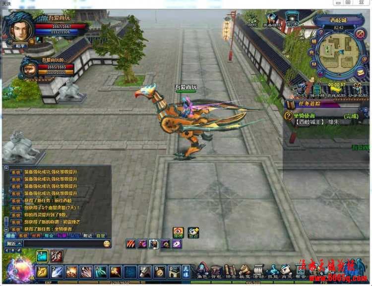 6.jpg