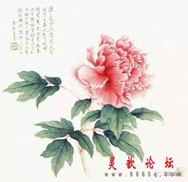 30c53fc5200db4aac72d9c29d6ac3d0b.jpg