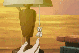 237089eb55586384fb7872fd92f01a3b.gif
