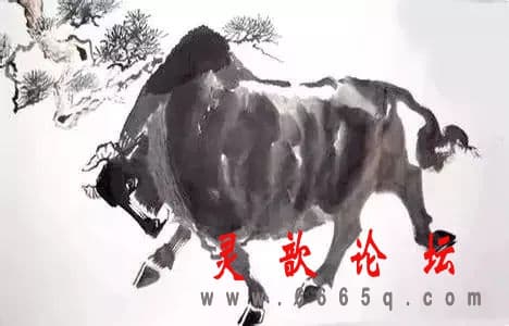 a966d57a9fe167784a33099b0009619a.jpg