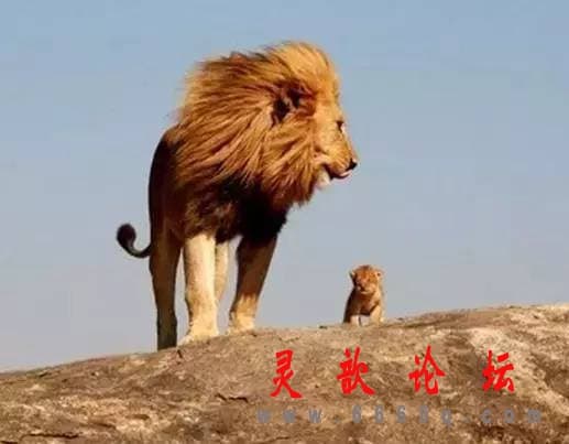 8342a6d4caffac2810be5e48d2957b48.jpg