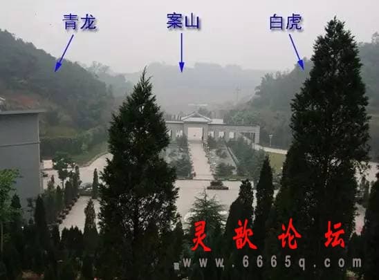 f4acae5a804cb65d92b81aa1bca12071.jpg