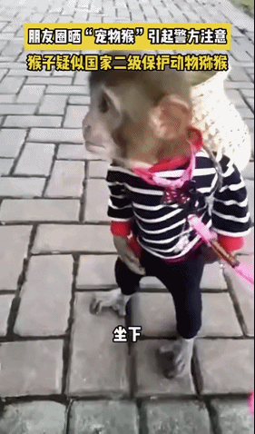 0caba11665f9aecf83b689687df15798.gif