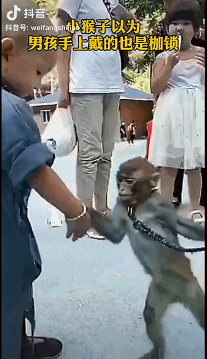 39b67600293c47700b2a5a0a27c5df0a.gif