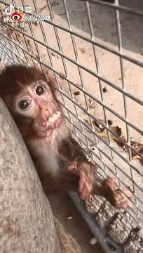 ecfdba9ea0a21667b505234c661dcb79.gif