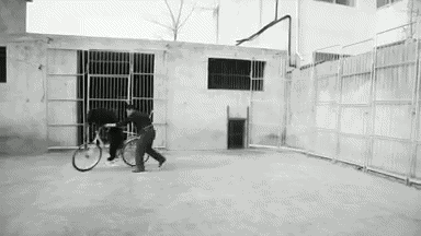 efdc583dcfcd4c9e11ebd8a8b1df5338.gif