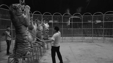 5f54f50041c78c6619315c99b5abc966.gif