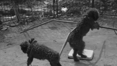 08f9005e25a48a7a835a70a7ac7de9ab.gif