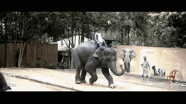 976c19c86be6c48c322e4c55a388c49a.gif