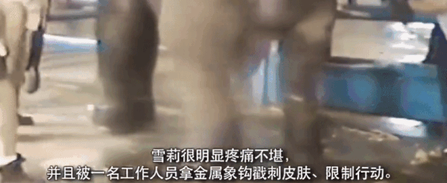 acb99c97fa7b6e49c39b7de893826d61.gif