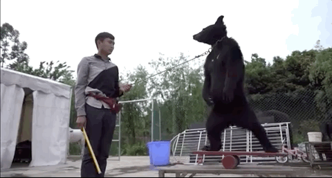 67ad2c4f012385d8a433224d2a1b0f8a.gif