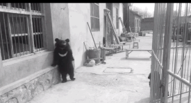 236ef693b2a79853536e9ba725a940f7.gif