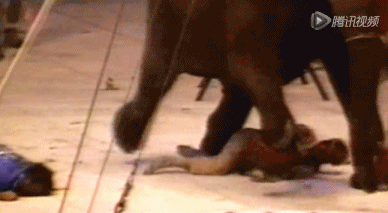6b6d74779ef2e7a816751cb551685a0a.gif