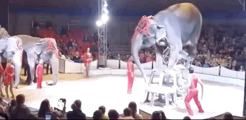 3c421723e06175c82b49e31c3ff6efbd.gif