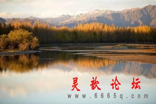 9bfb26933bf196d79bd7371a2fa9d32a.jpg