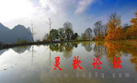 6c108a238f3980177d15ea6fac005720.jpg