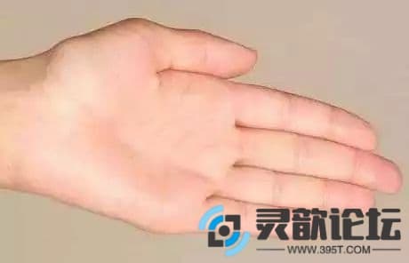 9d1d3a92eae77149149004cdae325d63.jpg