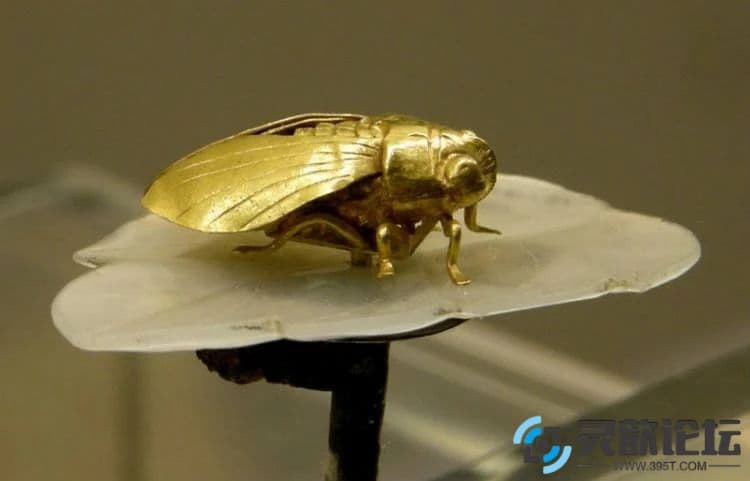 e0f648e8bfcd3d204a3c7377e73f60cb.jpg