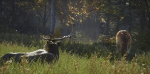 20211209101919_62457.gif