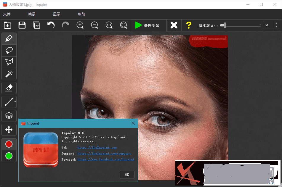 图片去水印利器Inpaint 10.0单文件中文版