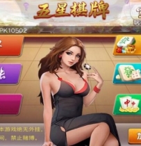 更新房卡广西地方娱乐游戏 柳州来宾麻将+双端正常