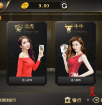 二次开发NG版本棋牌源码网狐内核改版